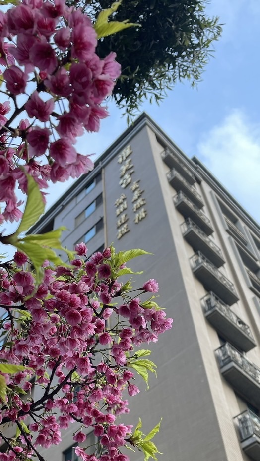 羅芙宮幸福小聚所