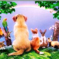 60代から やさしい時間                         笑顔でつながる雑談ルーム🌼