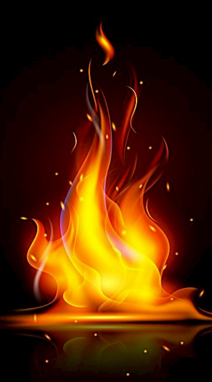 Update📍💯🍒🍉🍓🍇🫐🍊🍋