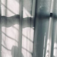 🐶🐈毛孩家生活