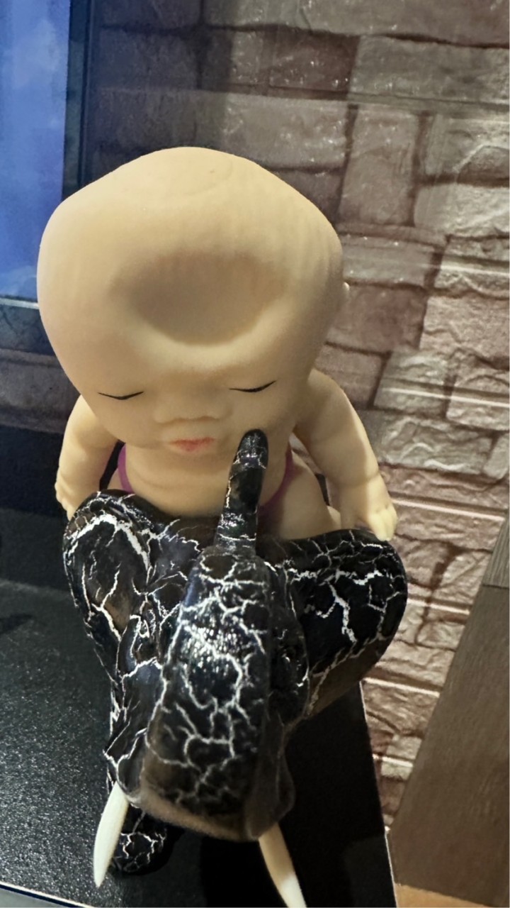 哪牌的垃圾好會裝