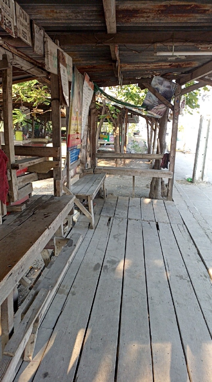 โรงเรียน+ใต้สะพานลอย