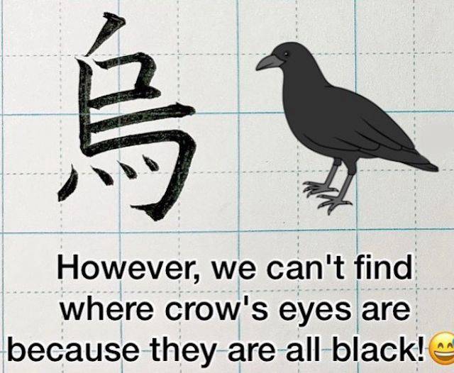 為什麼「烏」比「鳥」少1筆畫？日本老師神解：長知識了 NOWnews 今日 