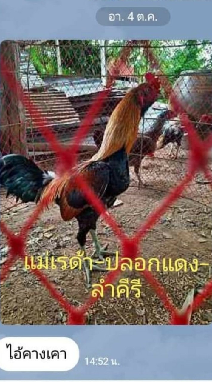 ซุ้มดอนเพ็ชร
