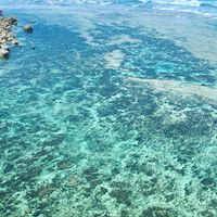 毎日プラス投資　リファイン
