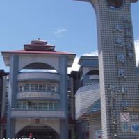 大忠國小114學年度103班