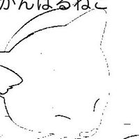 がんばる猫動画班