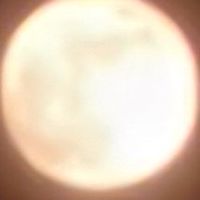 シンママシンパパシングルマザーシングルファーザーの恋愛雑談恋話部屋
