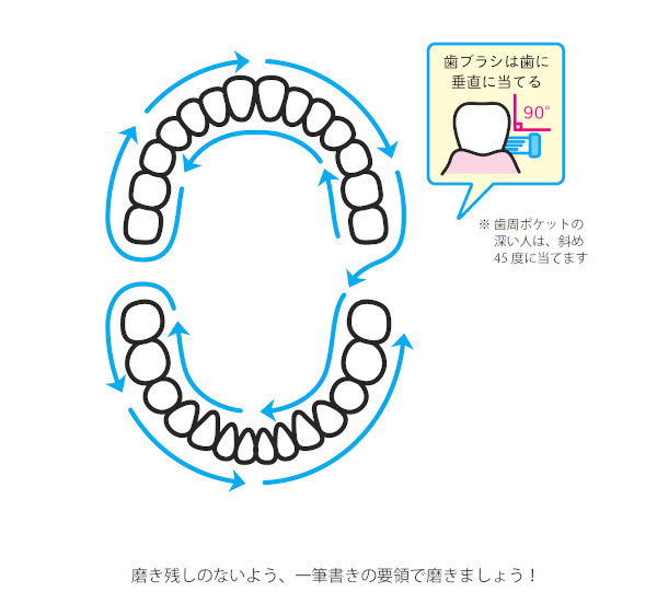 今日から磨き残しなし 全て歯がきれいになる 一筆書き の歯磨き法とは