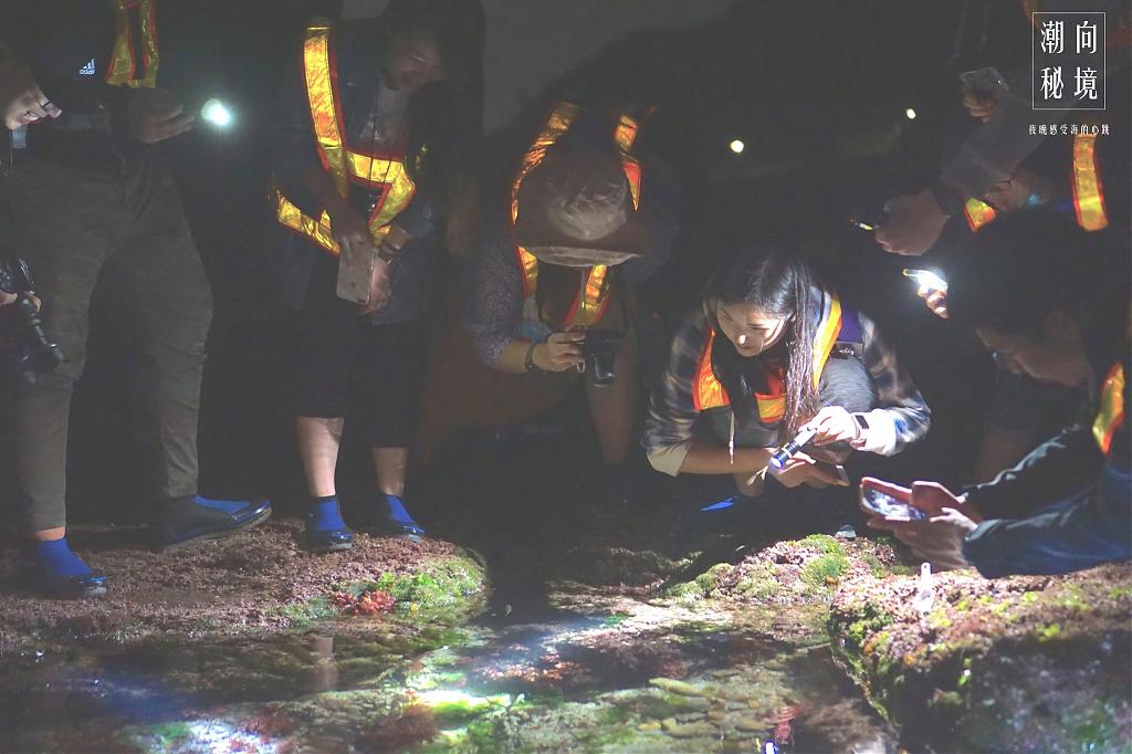 和平島公園推薦玩法-夜訪潮間帶拜訪小生物