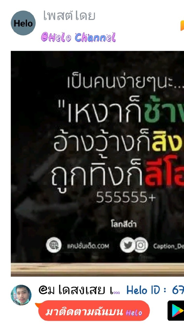 เห็นเสือหมอบ อย่าคิดว่าเสือกลัว🐯เห็นคนถ่อมตัว อย่