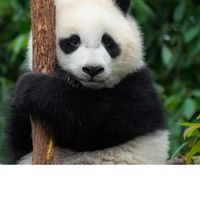 110資工、資管所考生研究專區（請先看版規）