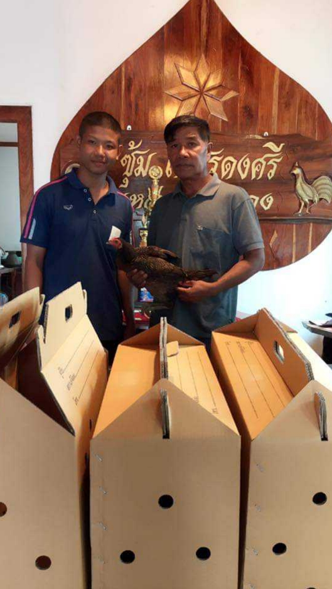 ซุ้มเสือลายเมฆ