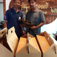 ซุ้มเสือลายเมฆ
