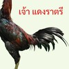 ซุ้ม​ GT แอบแซ่บ