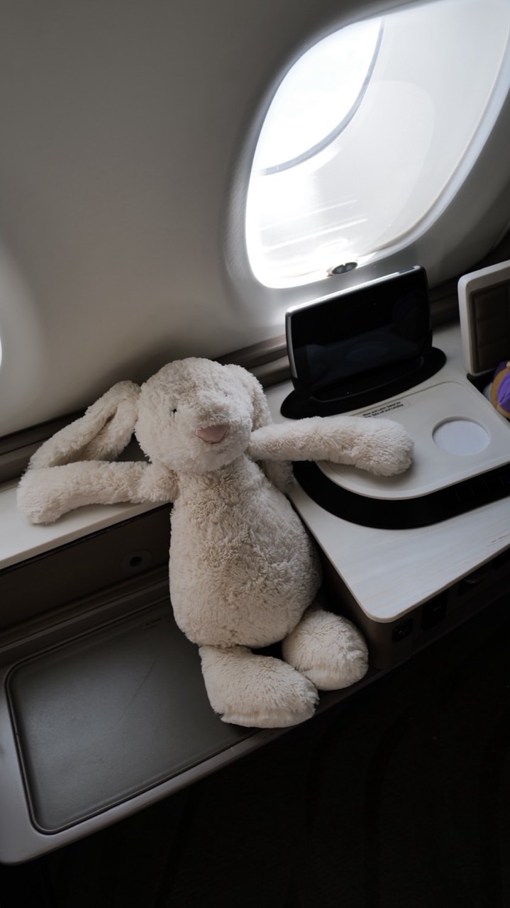 環遊世界的貓奴🐱