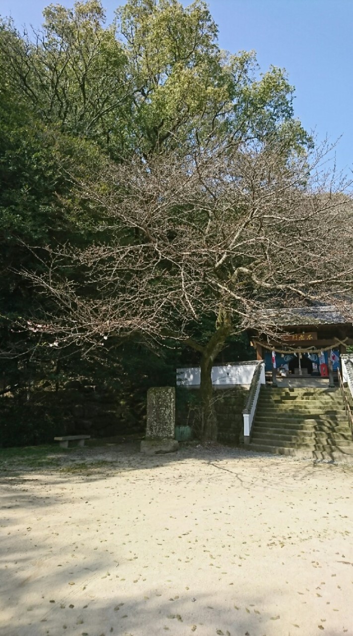 古神道と合気道の関係を考えたい