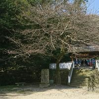古神道と合気道の関係を考えたい