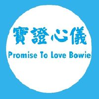 寶儀的粉絲後援會