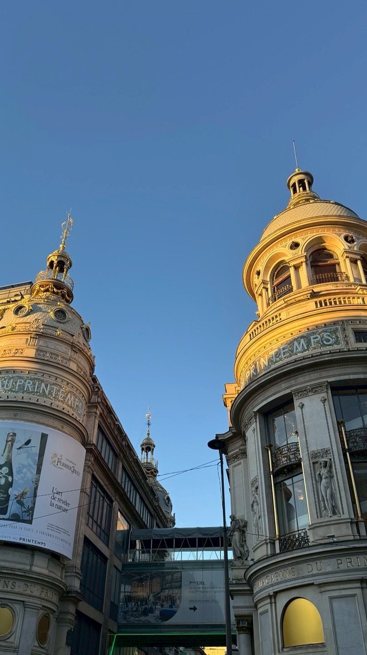 👑巴黎內購供貨👗