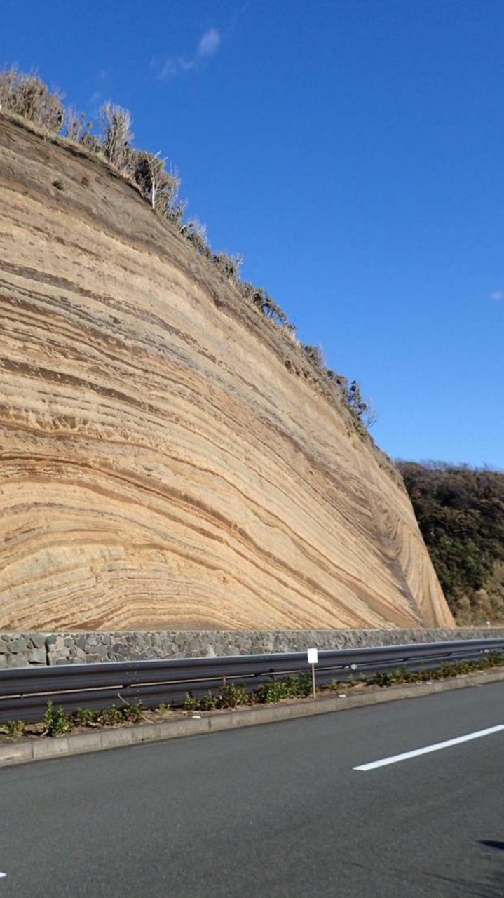 伊豆大島バードウォッチャーのオープンチャット