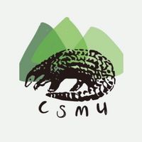 中山醫穿山甲登山社⛰️