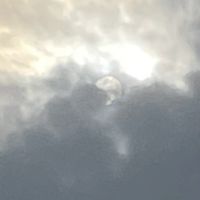 福樂國小（只有福樂的可進^_^