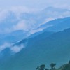 水柱哥哥的憂鬱談心聊天小窩