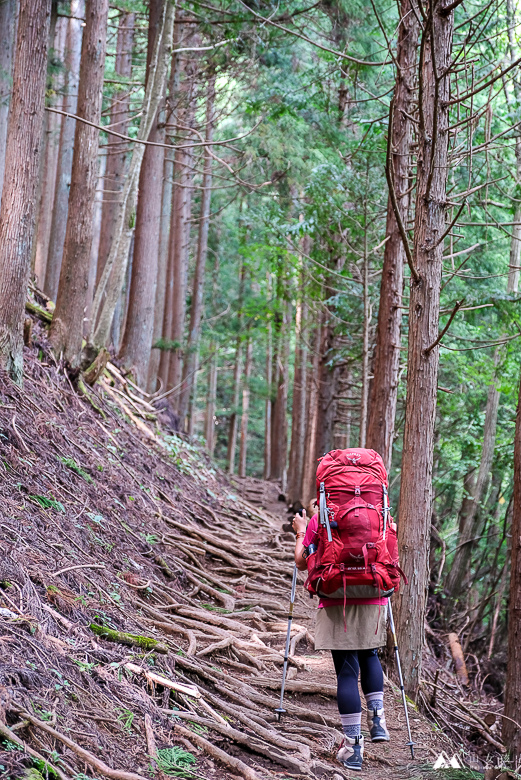 山女孩Melissa_奧多摩_雲取山-0800.jpg