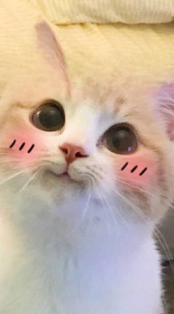 ℘有話好好說℘
