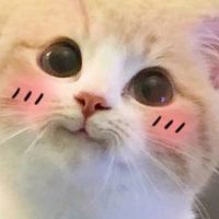 ℘有話好好說℘