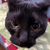優しい相談所