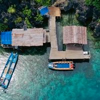 MSI海活社