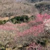 100人まで待機チャット(なるべくGD勢)