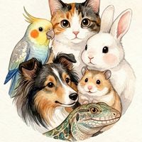 內湖臨時鏟屎官交換所