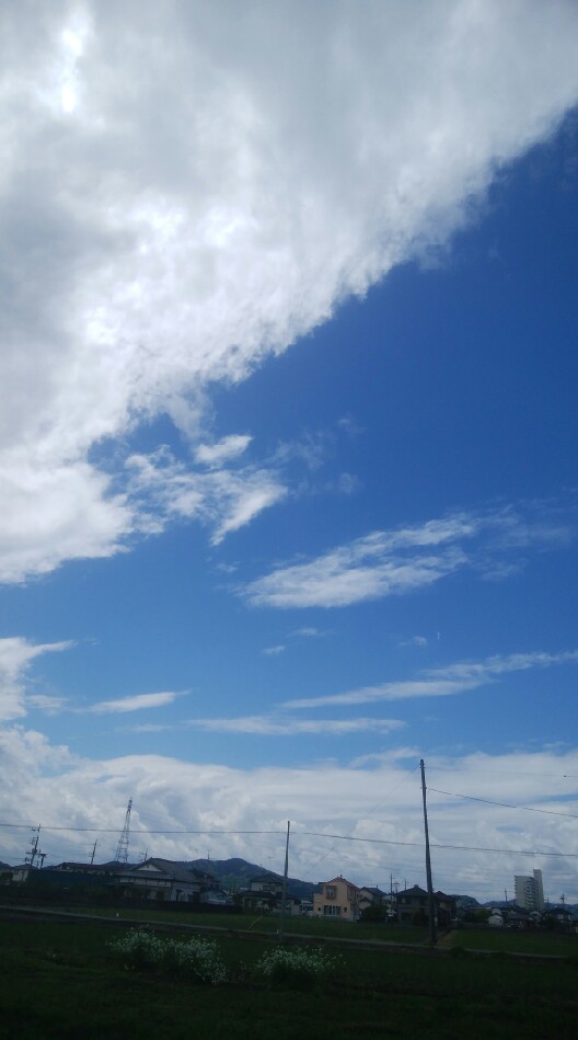 OpenChat 青い鳥の繋がり