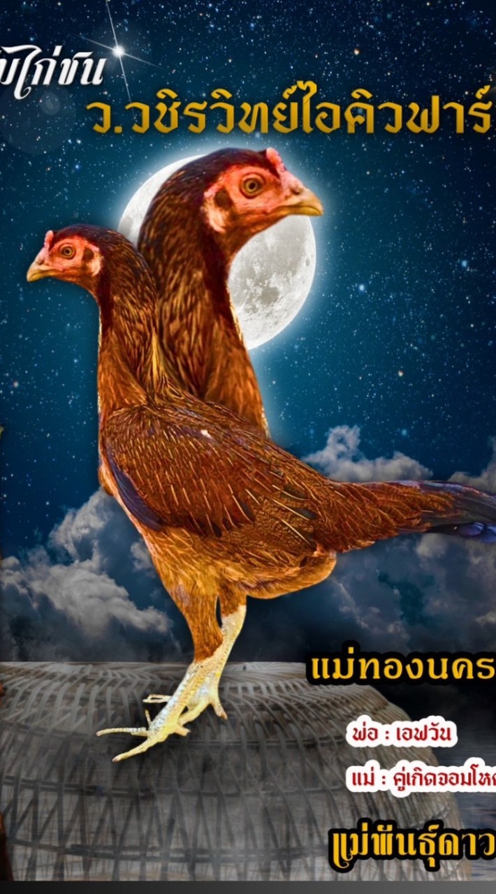 ซุ้ม.วชิรวิทย์ไอคิวฟาร์ม