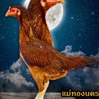 ซุ้ม.หงษ์นคร