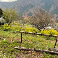 埼玉県　登山好きの会