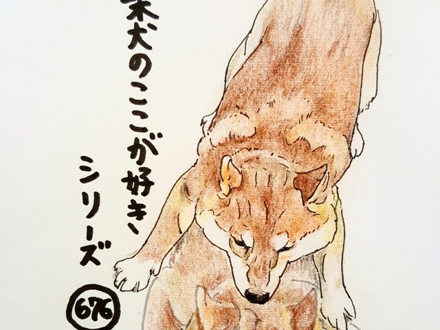 柴犬あるある ババババッと急な動きをする いぬのきもちnews