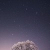 🌸桜雪本丸❄️【緩なりハント】