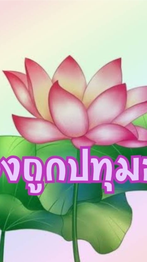 ร้านของถูกเมืองปทุม..By..Meedee.มีของถูก