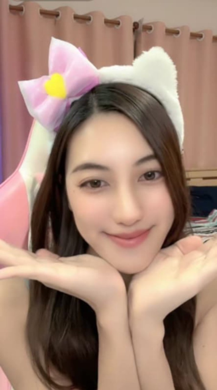 🐣😸สมาคมแมวเป้าแห่งประเทศไทย🎀🐣✨