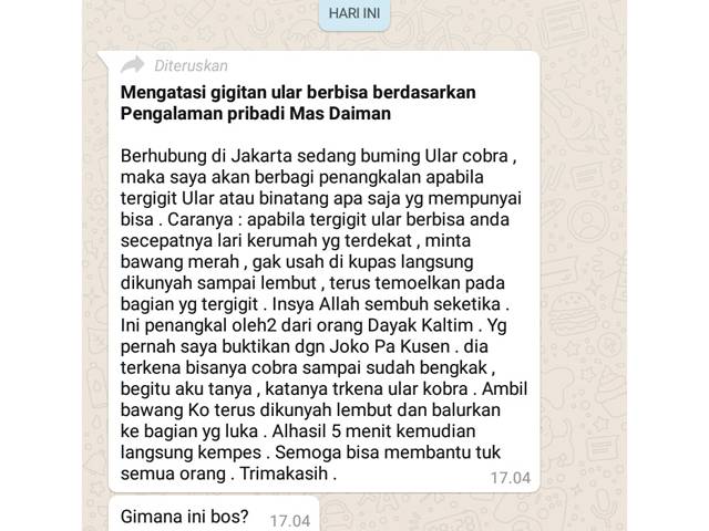 Catut Ustad Adi Hidayat Sampaikan Informasi Keliru Soal Gigitan Ular