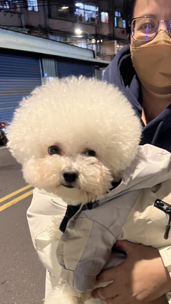 偷偷摸摸團購群