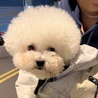 偷偷摸摸團購群