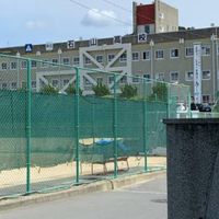 50th記念　石高同窓会