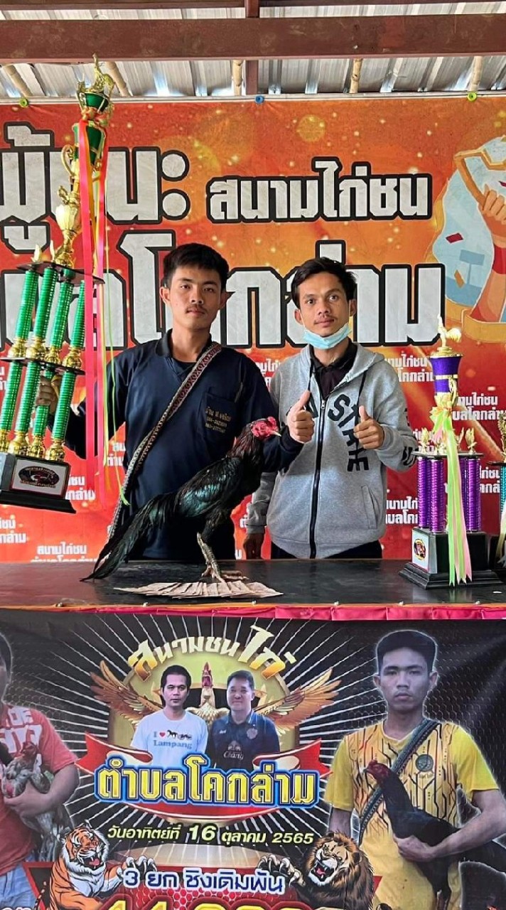 ซุ้ม.M.D.K. ฟาร์ม(เอ็ม)