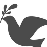 ジャーナリズム研究会（2020年度新歓）