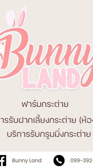 BunnyLand241
